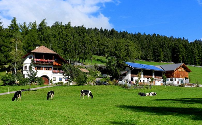 Symbolbild zum Schweizer Wohnungsmarkt: Schweizer Mieter bevorzugen das Land